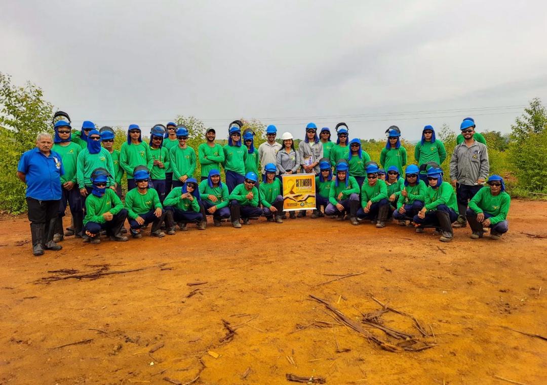 Colaboradores da Cultivar