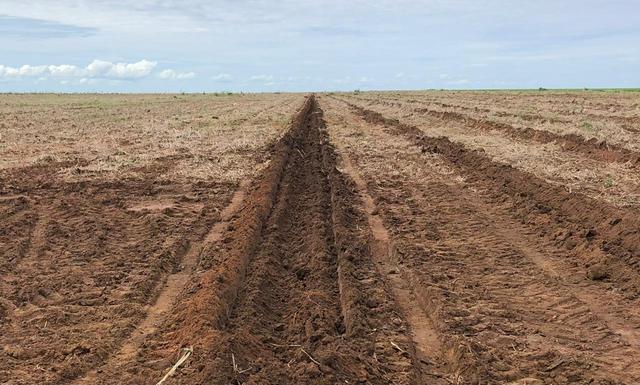 O preparo de áreas para agricultura visa criar condições ideais no solo criando condições para o crescimento e otimizar a produção agrícola.